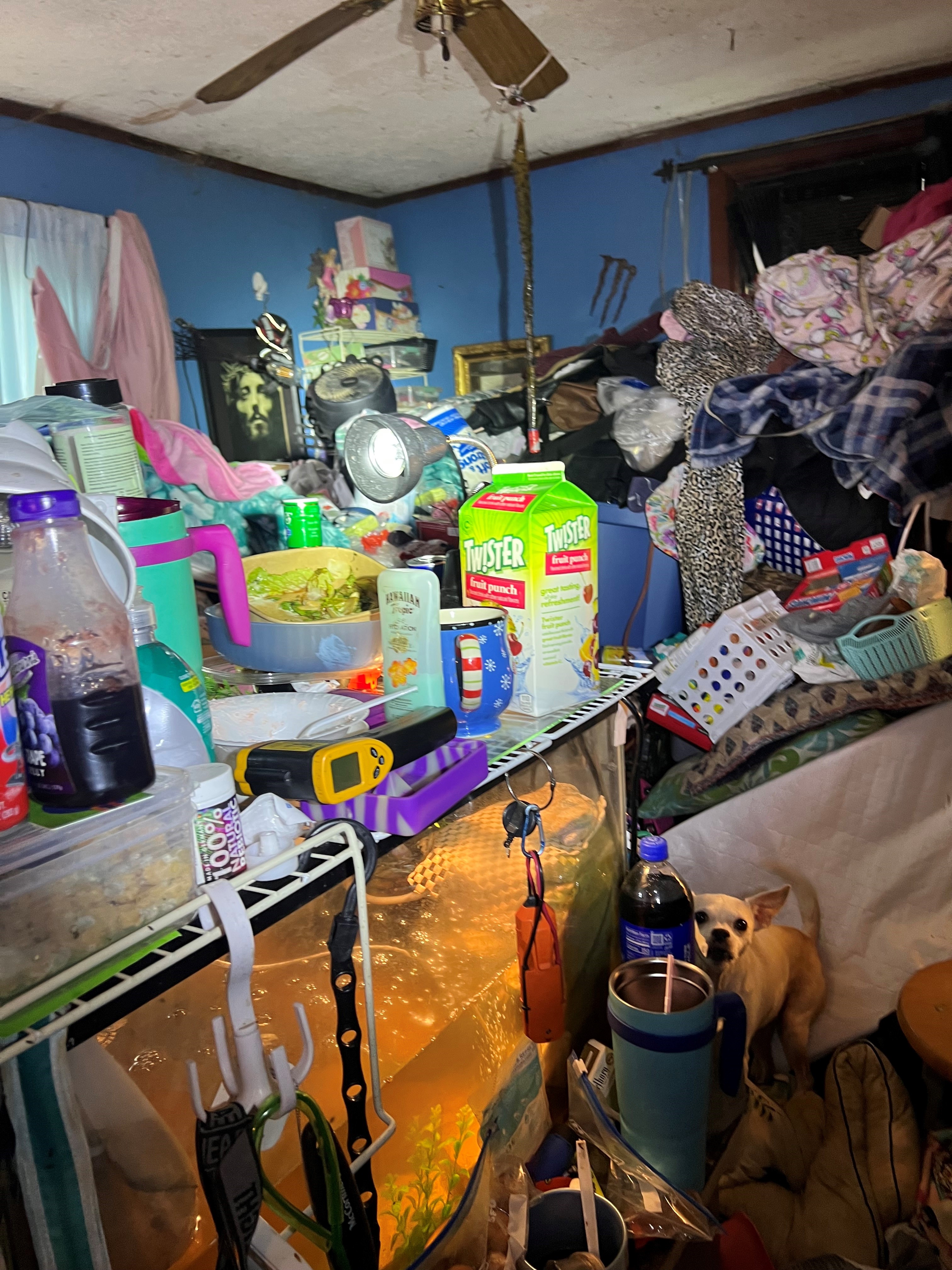 Bethel Animal Cruelty