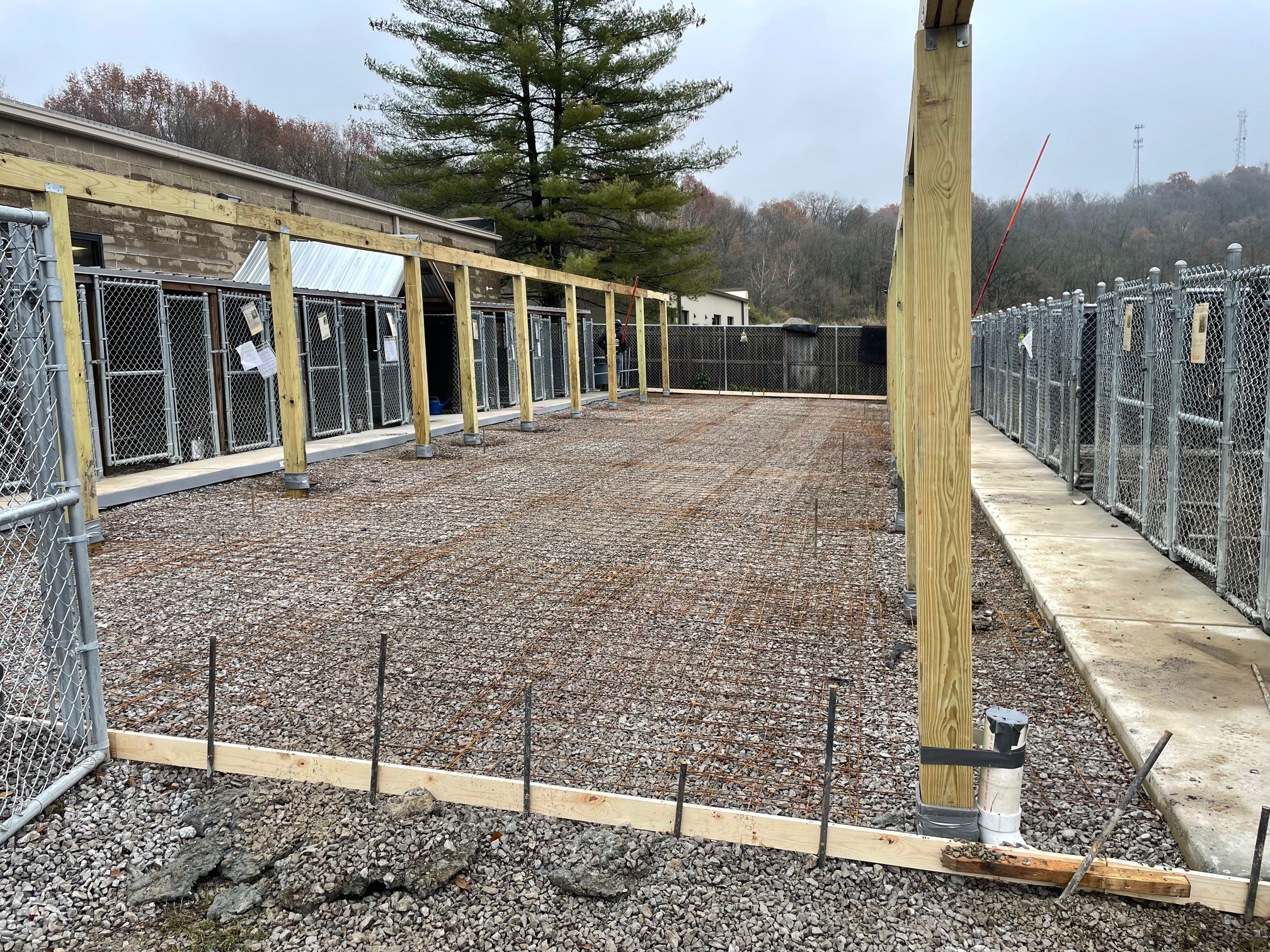 Animal Shelter concrete pour