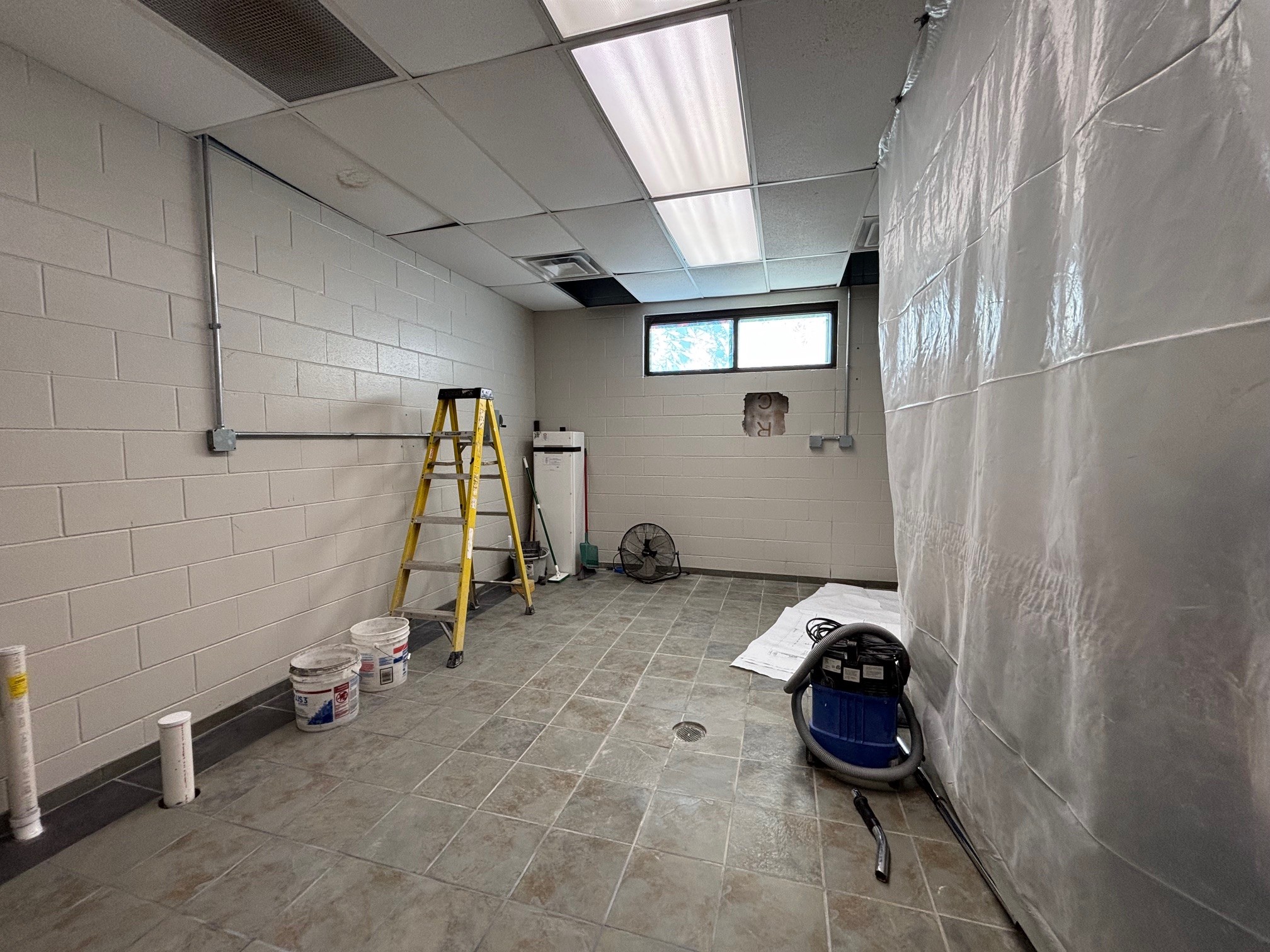 Animal Shelter project update