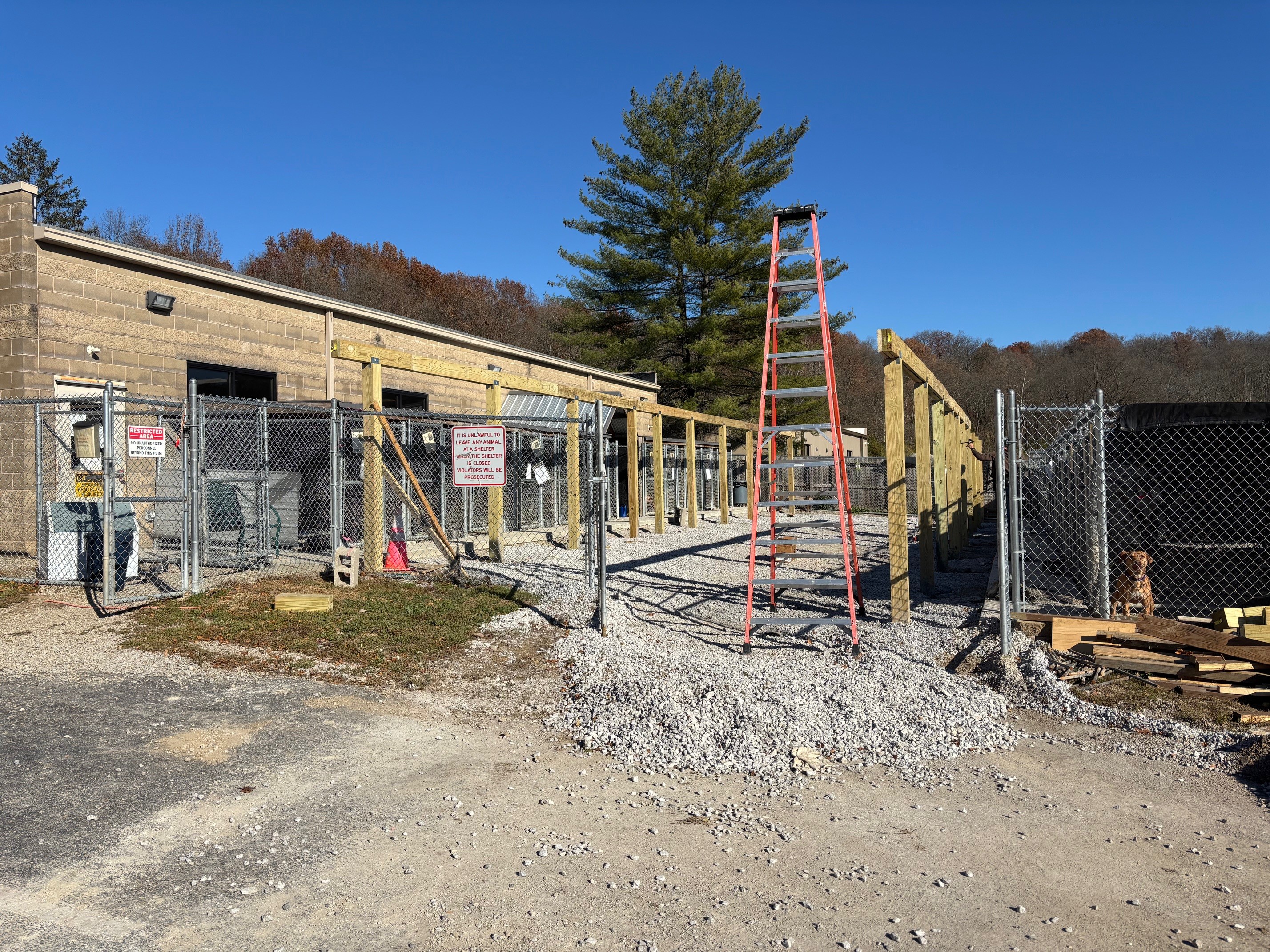 Outdoor kennel update