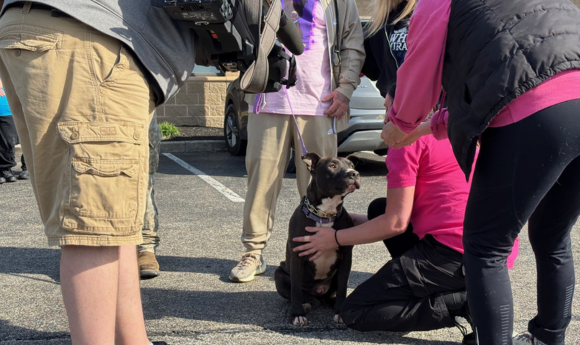 Animal Shelter Update: Longest-Resident Dog Moves to New Home