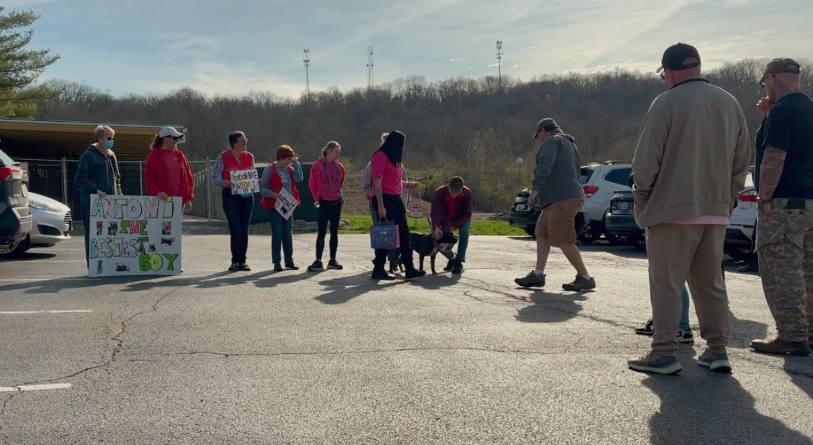 darlene walking antoni by volunteers